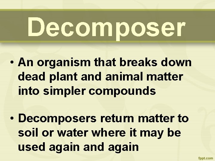 Decomposer • An organism that breaks down dead plant and animal matter into simpler