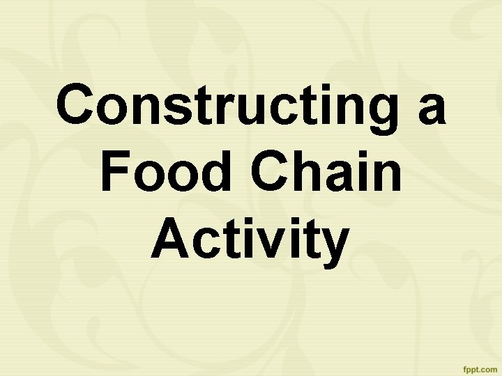 Constructing a Food Chain Activity 