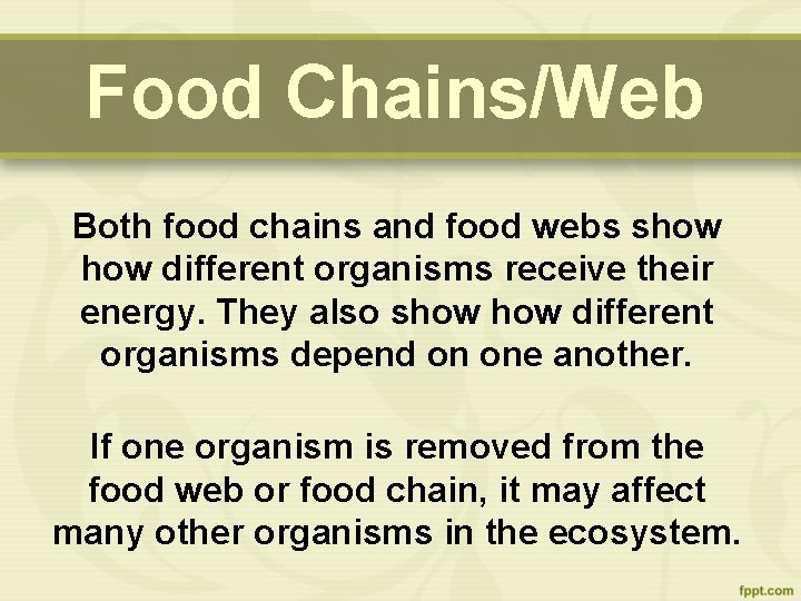 Food Chains/Web Both food chains and food webs show different organisms receive their energy.