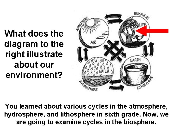 What does the diagram to the right illustrate about our environment? You learned about