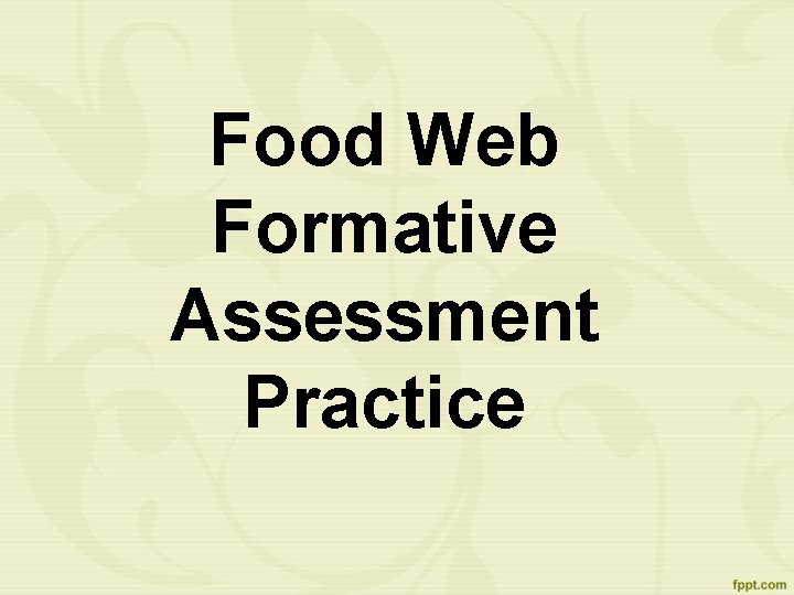 Food Web Formative Assessment Practice 