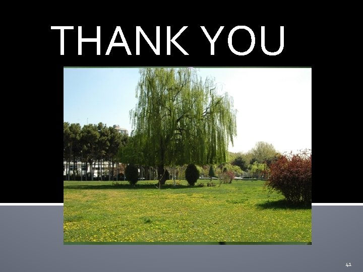 THANK YOU 41 THANK YOU 41