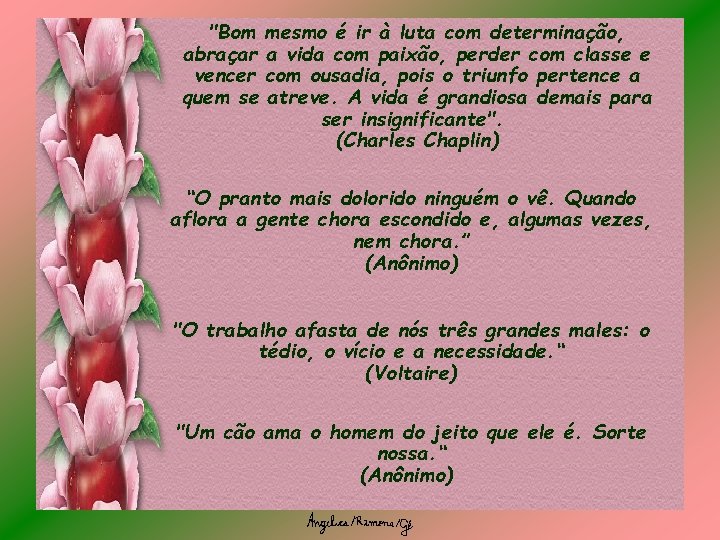 "Bom mesmo é ir à luta com determinação, abraçar a vida com paixão, perder