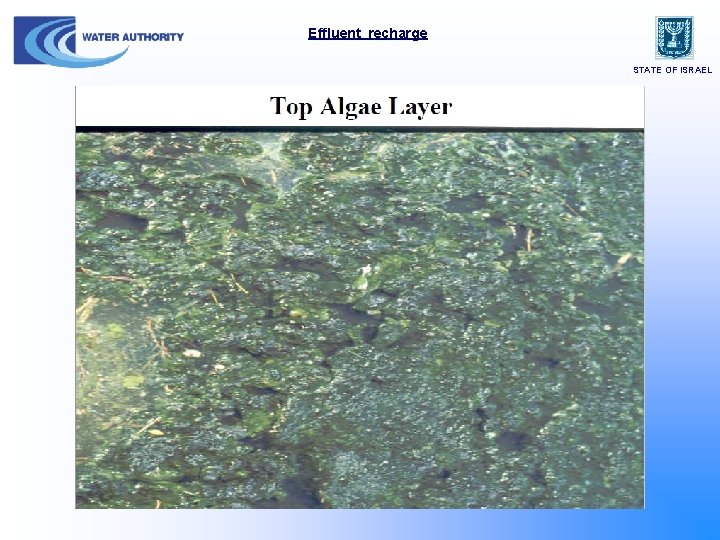 Effluent recharge STATE OF ISRAEL 