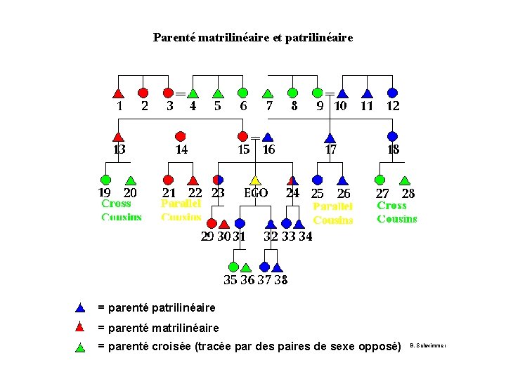 Parenté matrilinéaire et patrilinéaire = parenté matrilinéaire = parenté croisée (tracée par des paires