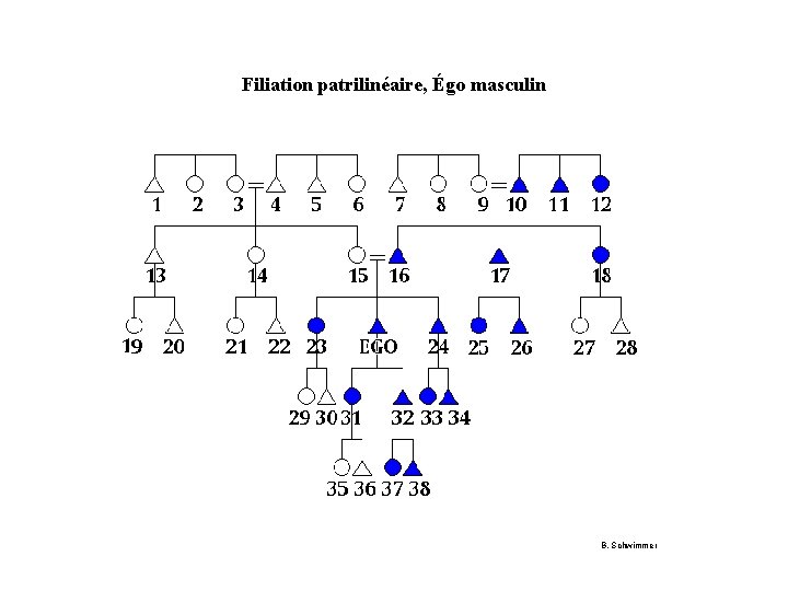 Filiation patrilinéaire, Égo masculin B. Schwimmer 