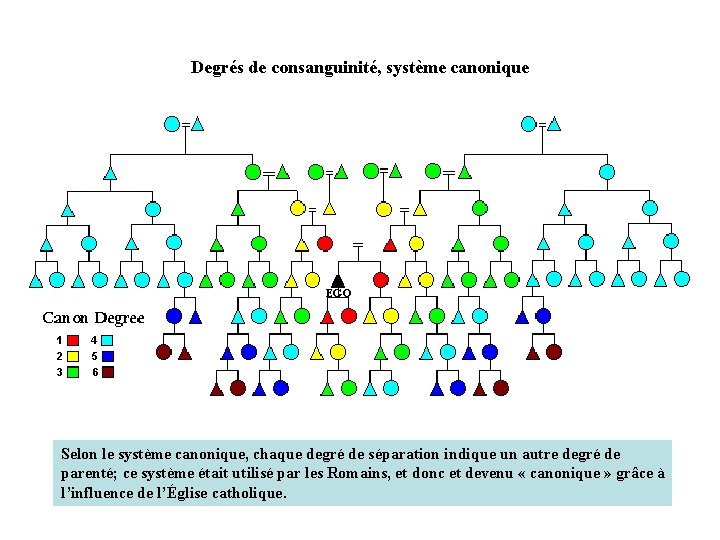 Degrés de consanguinité, système canonique Selon le système canonique, chaque degré de séparation indique