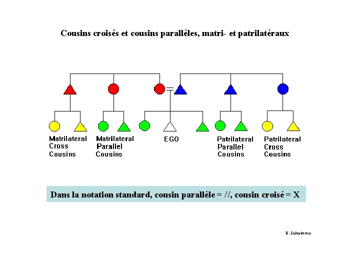 Cousins croisés et cousins parallèles, matri- et patrilatéraux Dans la notation standard, cousin parallèle
