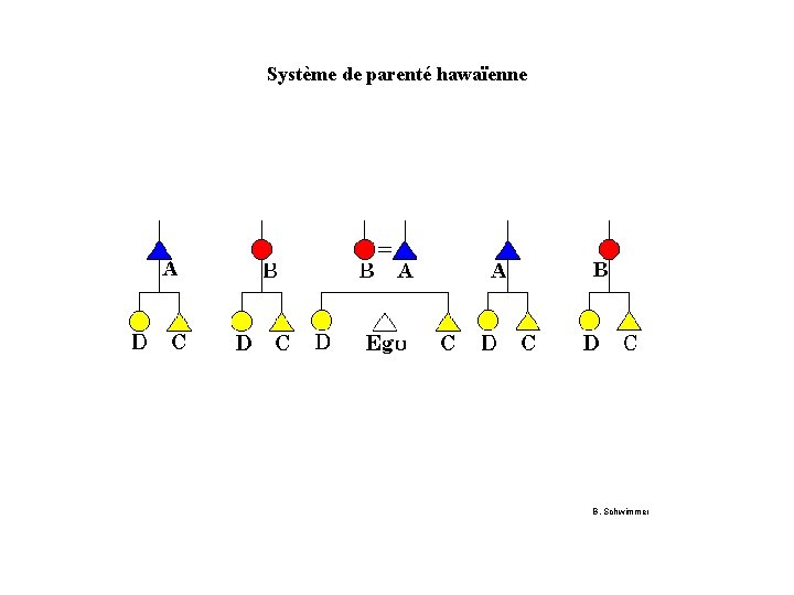 Système de parenté hawaïenne B. Schwimmer 