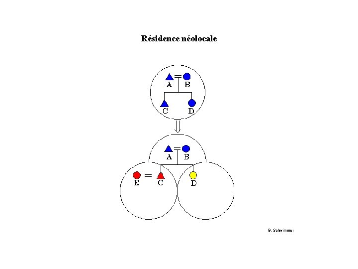 Résidence néolocale B. Schwimmer 