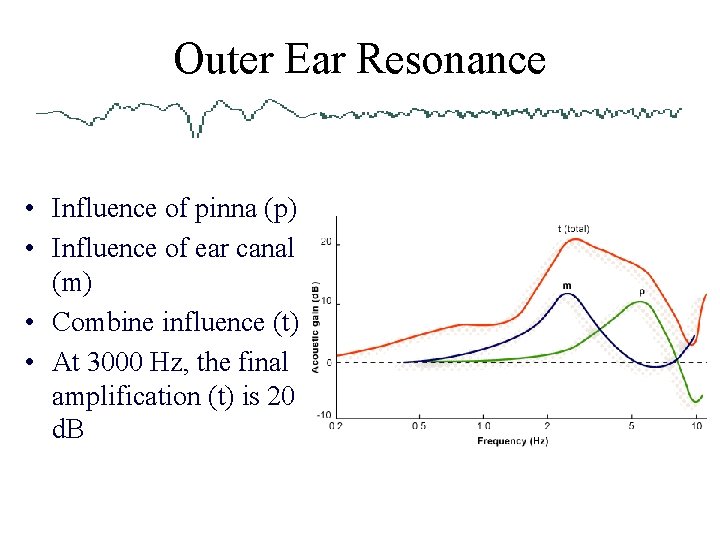 Outer Ear Resonance • Influence of pinna (p) • Influence of ear canal (m)