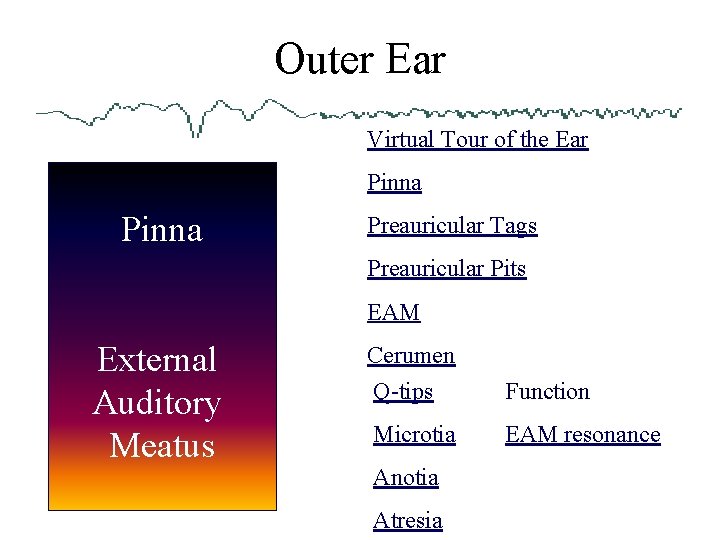 Outer Ear Virtual Tour of the Ear Pinna Preauricular Tags Preauricular Pits EAM External