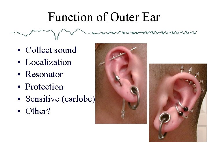 Function of Outer Ear • • • Collect sound Localization Resonator Protection Sensitive (earlobe)