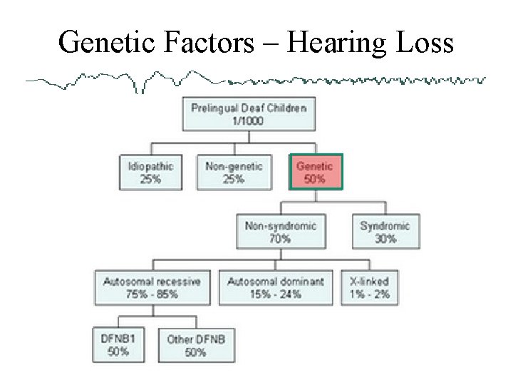 Genetic Factors – Hearing Loss 