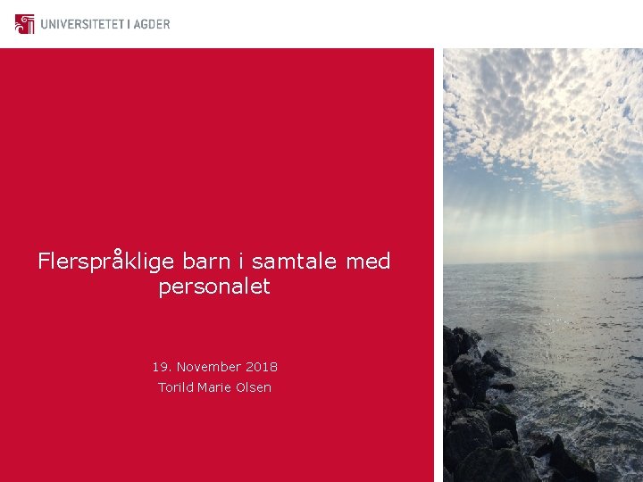 Flerspråklige barn i samtale med personalet 19. November 2018 Torild Marie Olsen 
