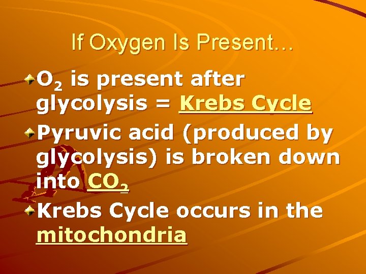 If Oxygen Is Present… O 2 is present after glycolysis = Krebs Cycle Pyruvic