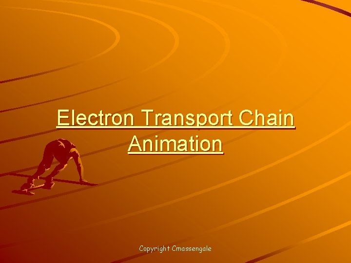 Electron Transport Chain Animation Copyright Cmassengale 