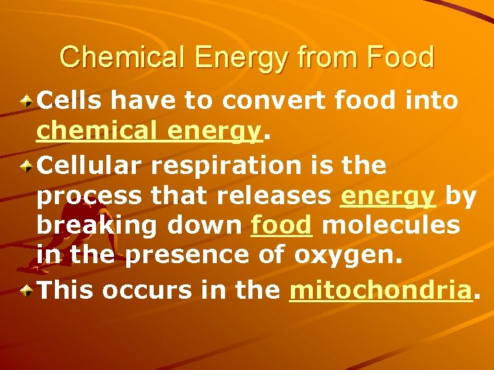 Chemical Energy from Food Cells have to convert food into chemical energy. Cellular respiration