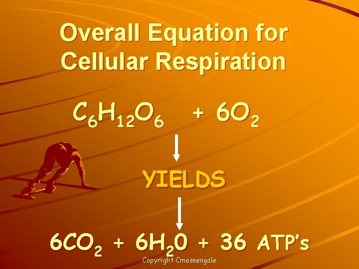 Overall Equation for Cellular Respiration C 6 H 12 O 6 + 6 O