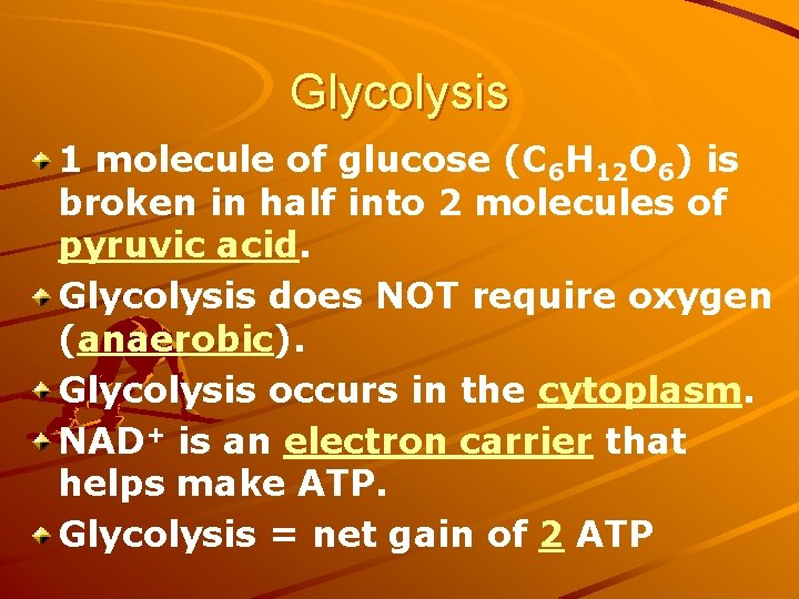 Glycolysis 1 molecule of glucose (C 6 H 12 O 6) is broken in