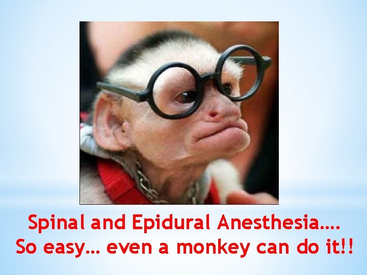 Spinal and Epidural Anesthesia…. So easy… even a monkey can do it!! 