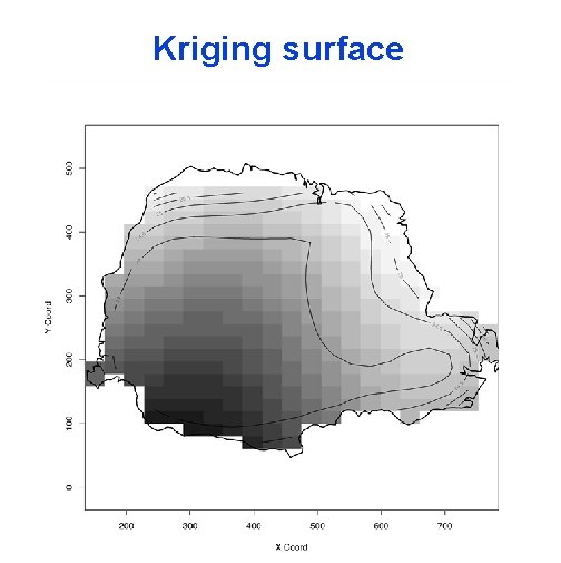 Kriging surface 