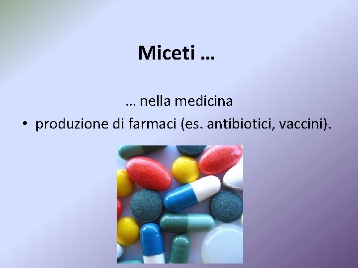 Miceti … … nella medicina • produzione di farmaci (es. antibiotici, vaccini). 