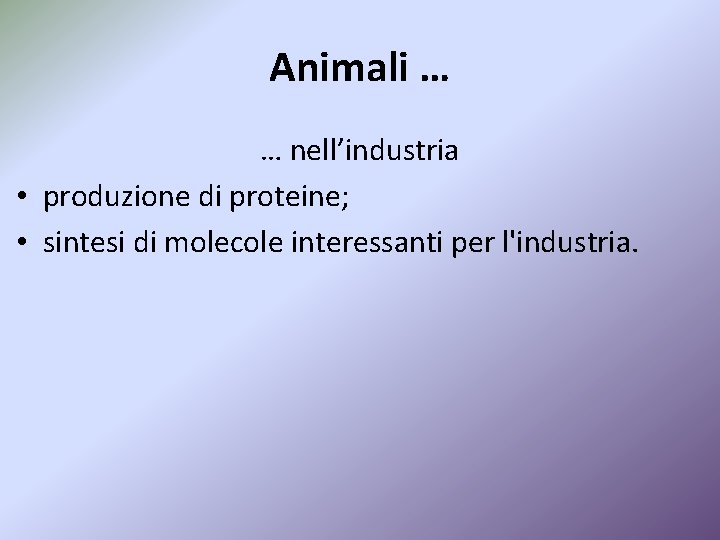 Animali … … nell’industria • produzione di proteine; • sintesi di molecole interessanti per