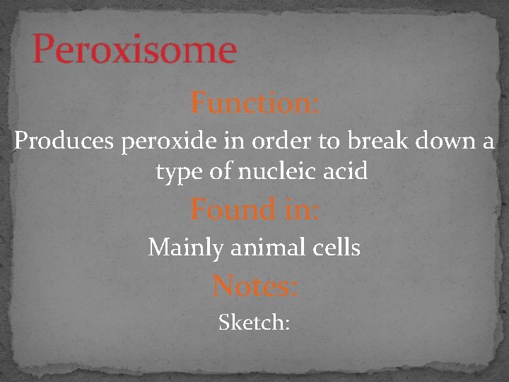 Peroxisome Function: Produces peroxide in order to break down a type of nucleic acid