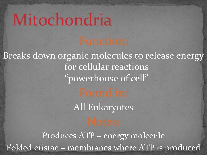Mitochondria Function: Breaks down organic molecules to release energy for cellular reactions “powerhouse of