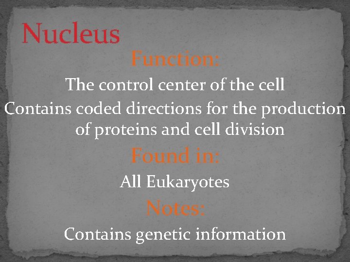 Nucleus Function: The control center of the cell Contains coded directions for the production