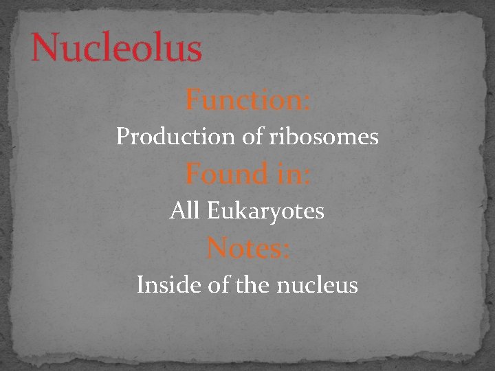 Nucleolus Function: Production of ribosomes Found in: All Eukaryotes Notes: Inside of the nucleus