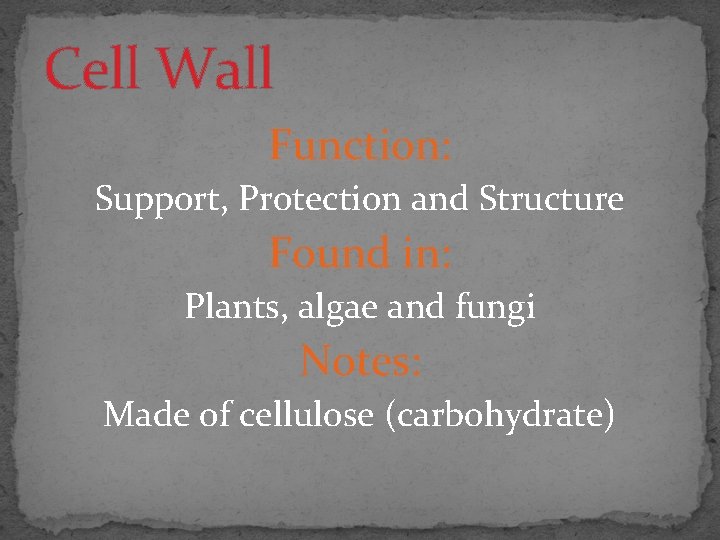 Cell Wall Function: Support, Protection and Structure Found in: Plants, algae and fungi Notes: