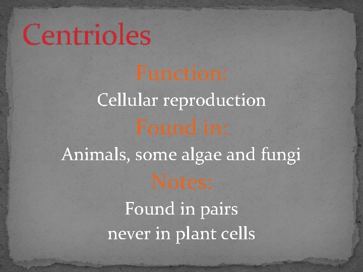 Centrioles Function: Cellular reproduction Found in: Animals, some algae and fungi Notes: Found in