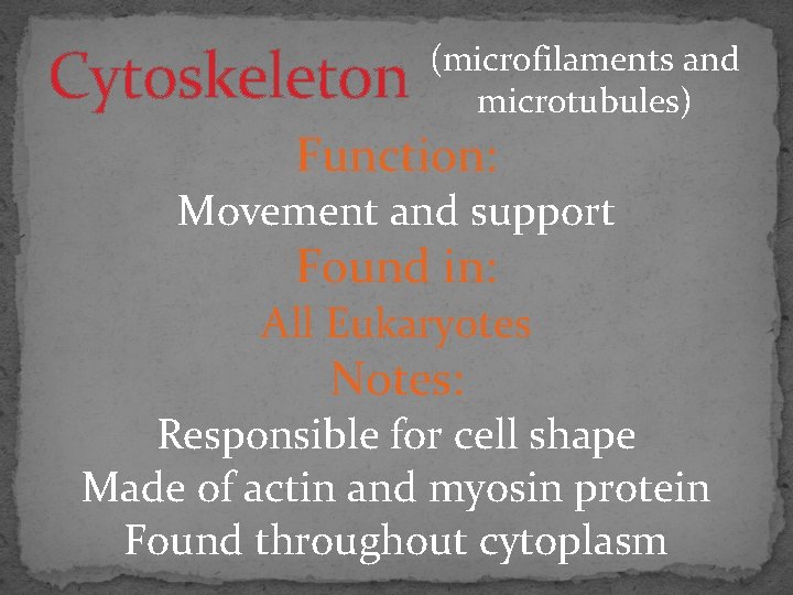 Cytoskeleton (microfilaments and microtubules) Function: Movement and support Found in: All Eukaryotes Notes: Responsible