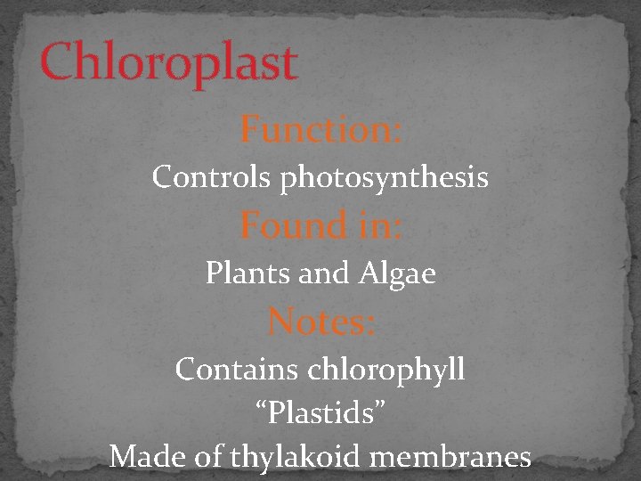 Chloroplast Function: Controls photosynthesis Found in: Plants and Algae Notes: Contains chlorophyll “Plastids” Made