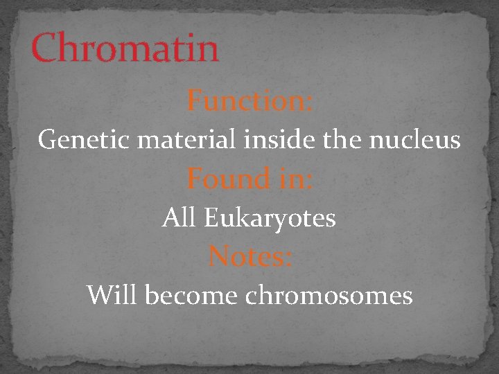 Chromatin Function: Genetic material inside the nucleus Found in: All Eukaryotes Notes: Will become