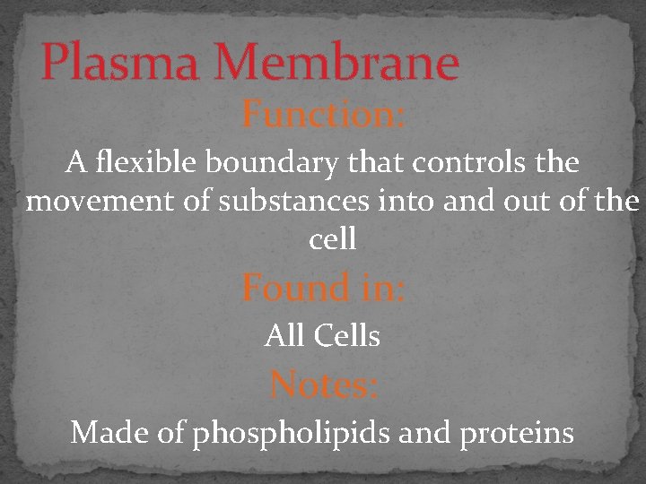 Plasma Membrane Function: A flexible boundary that controls the movement of substances into and