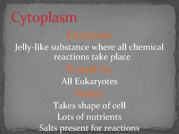 Cytoplasm Function: Jelly-like substance where all chemical reactions take place Found in: All Eukaryotes