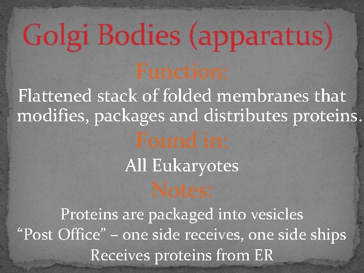 Golgi Bodies (apparatus) Function: Flattened stack of folded membranes that modifies, packages and distributes