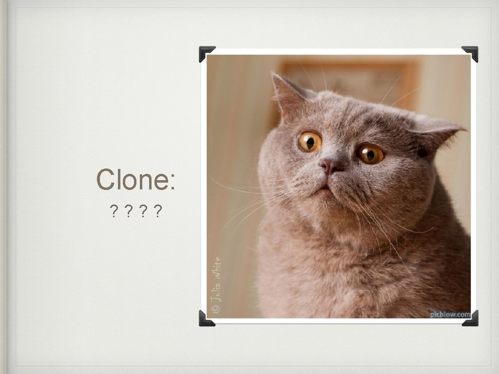 Clone: ? ? 