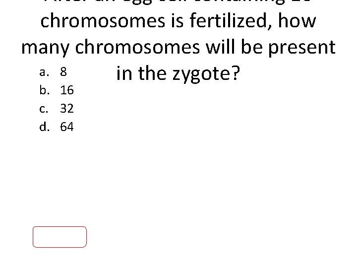 After an egg cell containing 16 chromosomes is fertilized, how many chromosomes will be