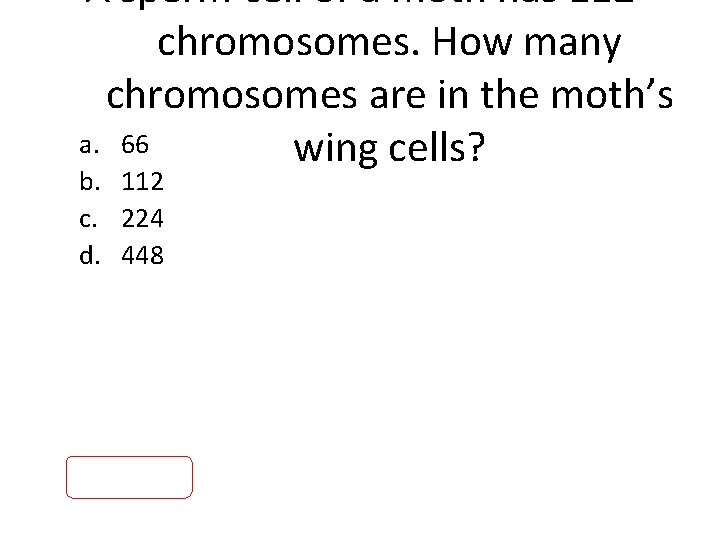 A sperm cell of a moth has 112 chromosomes. How many chromosomes are in