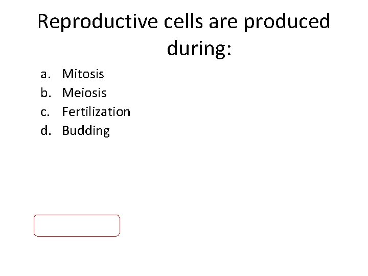 Reproductive cells are produced during: a. b. c. d. Mitosis Meiosis Fertilization Budding 