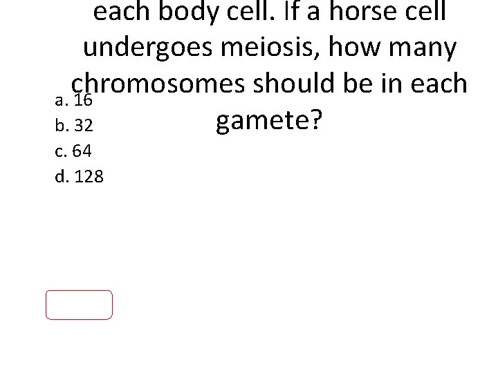 each body cell. If a horse cell undergoes meiosis, how many chromosomes should be