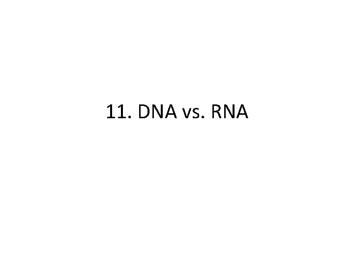 11. DNA vs. RNA 