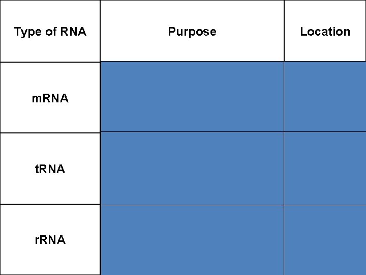 Type of RNA Purpose Location m. RNA Transcribes DNA triplets and transports it to