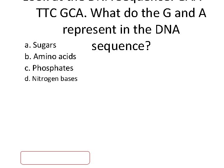 Look at the DNA Sequence: GAA TTC GCA. What do the G and A