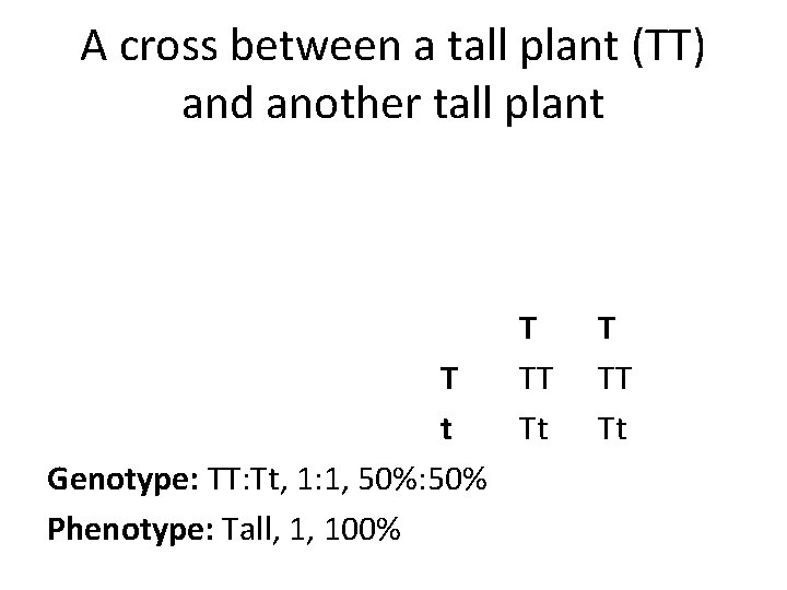 A cross between a tall plant (TT) and another tall plant T t Genotype: