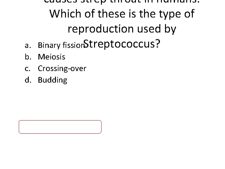 causes strep throat in humans. Which of these is the type of reproduction used